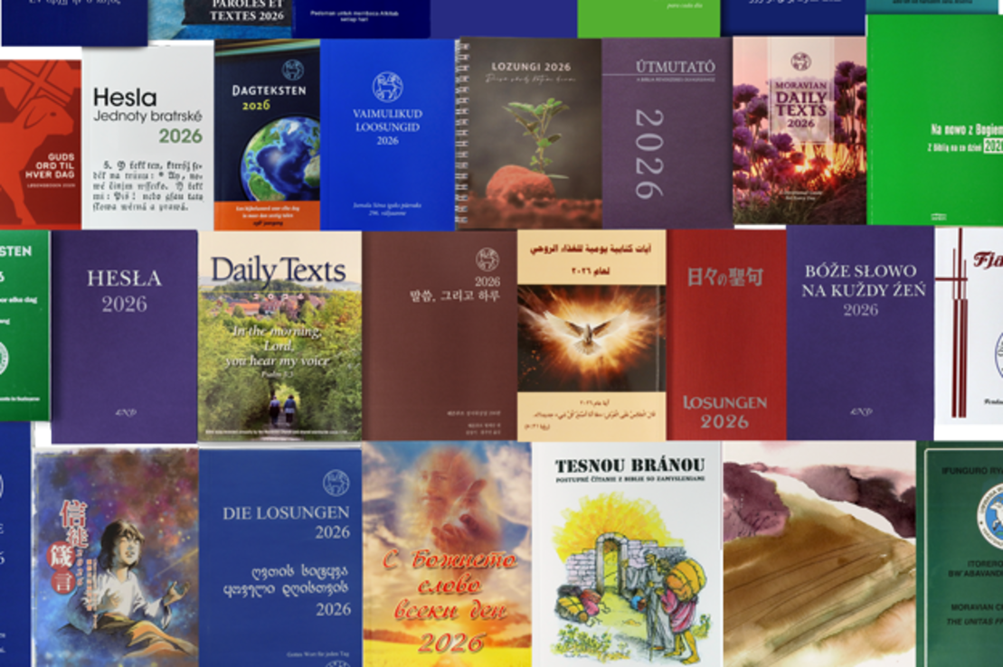 Gruppenbild Losungen weltweit Gruppenbild mit Covern von Losungen aus aller Welt