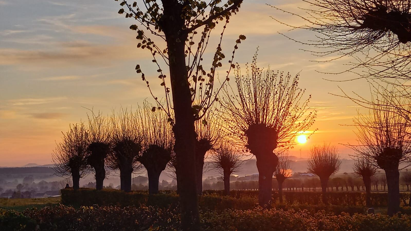 Gottesacker in Herrnhut bei Sonnenaufgang