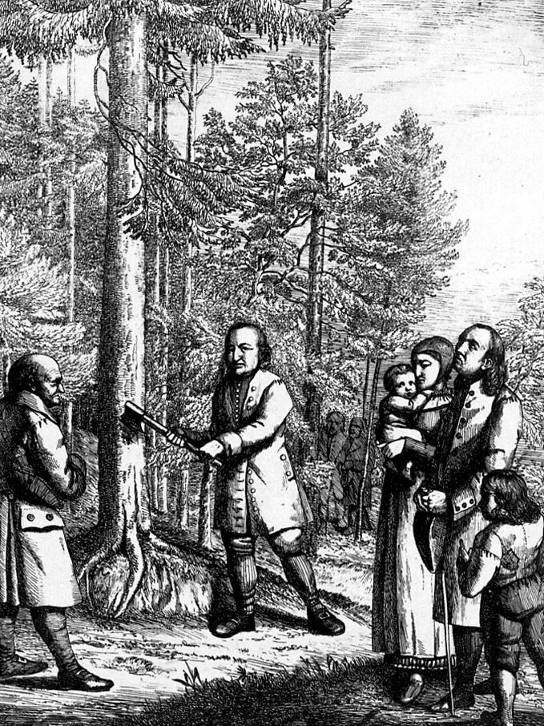 christian-david-faellt-baum