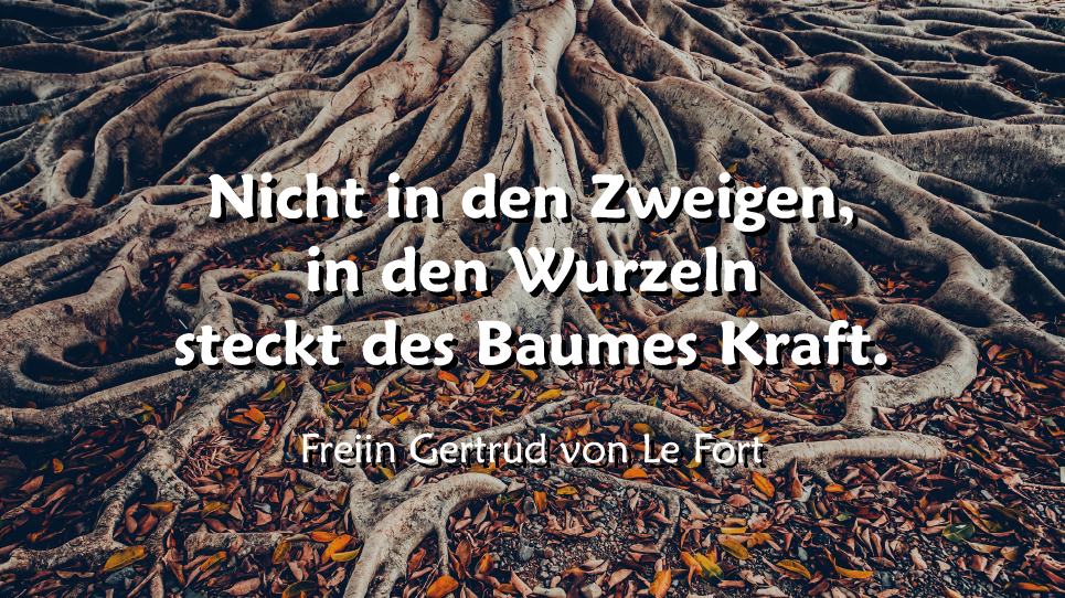 Spruch: "Nicht in den Zweigen, in den Wurzeln steckt des Baumes Kraft" von Freiin Gertrud von Le Fort; dazu im Hintergrund Baumwurzeln